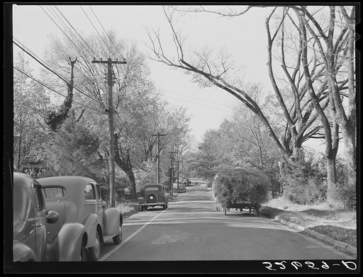Street in Chapel Hill, North Carolina. Orange County
