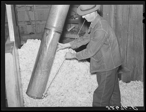 C.N. Roberts who owns his own farm near Roseville, brought his cotton to the Lassiter gin in Knightdale, Wake County, North Carolina. This gin which is operated by Mr. Faison has ginned only two hundred and fifty bales of cotton this season and doesn't expect much more. The boll weevil got most of t