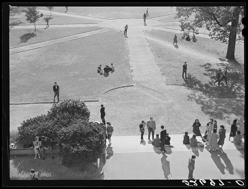 Untitled photo, possibly related to: Part of the campus. University of North Carolina, Chapel Hill. Orange County, North Carolina