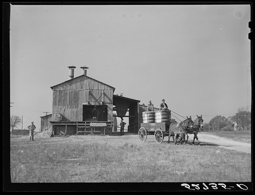 Joe Morgan, tenant on W.R. White farm, ready to leave the C.W. Lassiter gin with two bales of cotton on his wagon. Wake County, Wendell, North Carolina