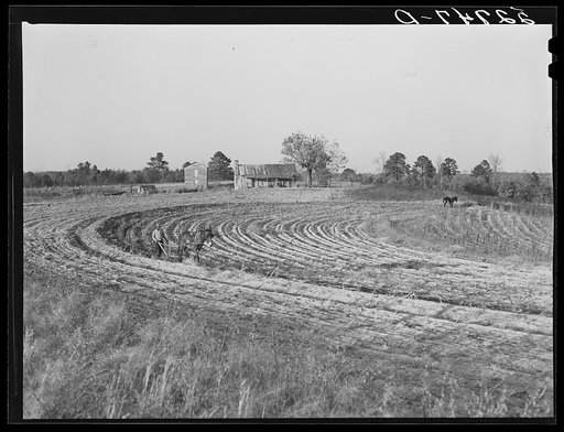 Untitled photo, possibly related to: Negro plowing field a half mile from the Jones place going toward Wake Forest, on Route No. 91, Wake County, North Carolina