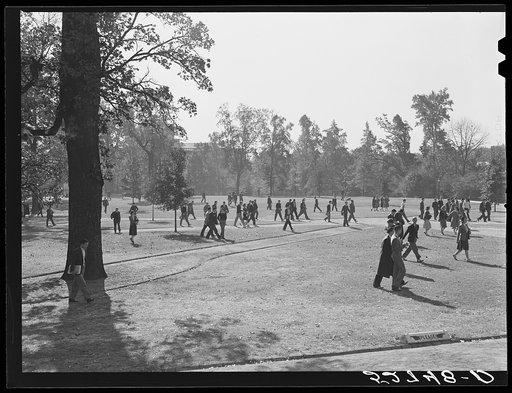 Students coming across campus during change of classes at University of North Carolina. Chapel Hill, Orange County, North Carolina