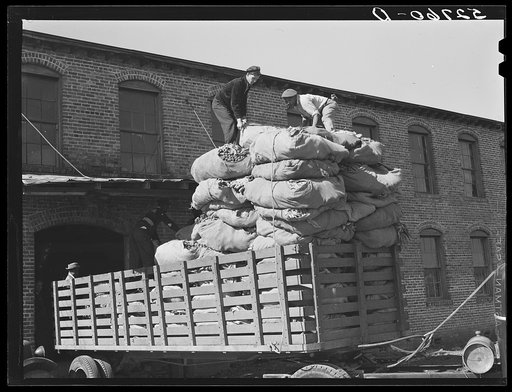 Loading truck at stem tobacco plant in Wendell. Wake County, North Carolina