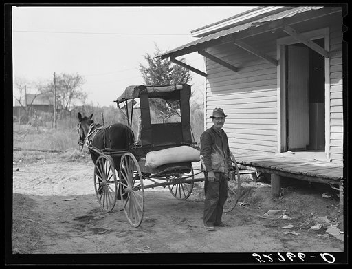 John Newton hauling a sack of Red Dog pig feed from the store in Stem, Granville County, North Carolina, to his farm, the old Elijah Roberts place about four miles away, which he has recently bought. See subregional notes (Odum) November 16, 1939