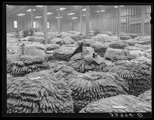 Untitled photo, possibly related to: Baskets of tobacco piled on top of each other after being sold at auction. Here they are picked up by the trucks which haul them to the cigarette factories. This is in the Liberty warehouse. Durham, North Carolina