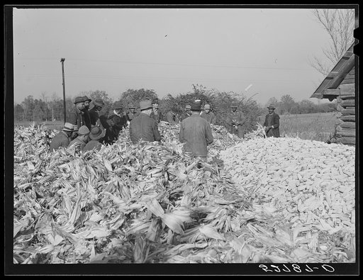Untitled photo, possibly related to: Cornshucking on Uncle Henry Garrett's place. Negro tenant of Mr. Fred Wilkins. White women don't go to Negro shucking to help with the cooking but white men are fed by Negro women just the same as at other shucking week previous at Mr. Fred Wilkins' home. Tallyho
