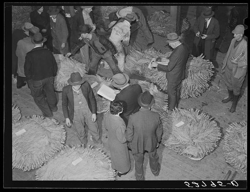Farmers in warehouse during the auction sale. Two bookmen on each side of the row follow the auctioneer and buyers calculating the amount of the sale by multiplying the price times the number of pounds. Mebane, Orange County, North Carolina. See subregional notes (Odum) November 9, 1939