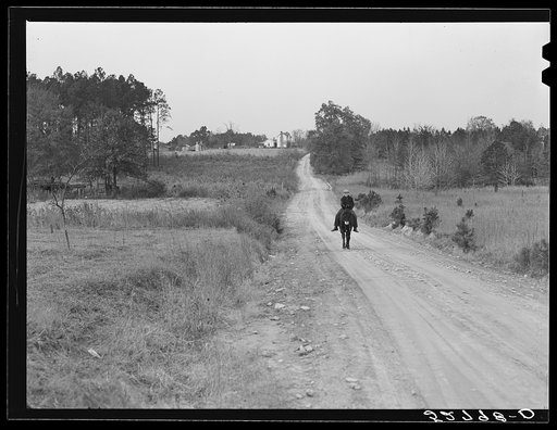 Mrs. Elvin Wilkins' son riding their mule up the road in front of their house. Tallyho, near Stem, Granville County, North Carolina. See subregional notes (Odum) November 16, 1939