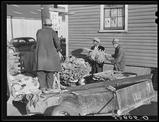 Untitled photo, possibly related to: Farmer taking his tobacco from one warehouse to another for auction sale. Most of the warehouses are very rushed and quickly filled up the first of the week because most farmers think they get a better price on Monday and Tuesday. Mebane, Orange County, North Car