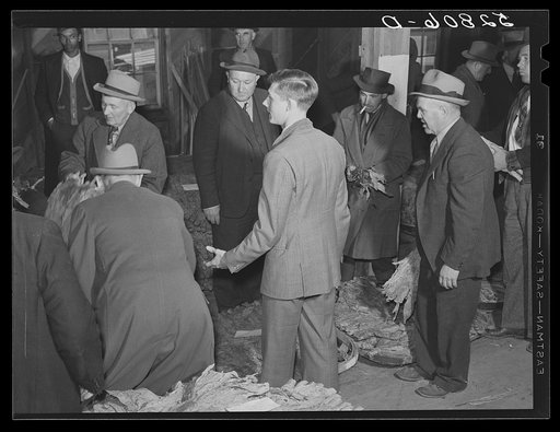 The son of an older tobacco auctioneer relieves his father at the end of the row during sale. Mebane, Orange County, North Carolina