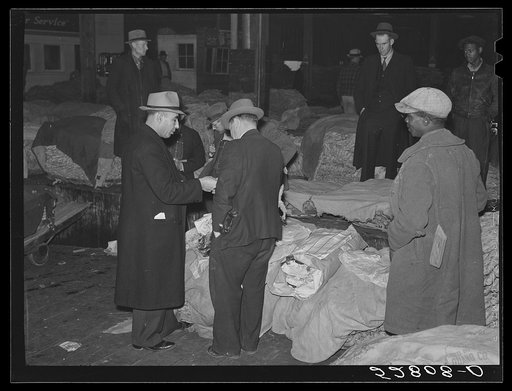Untitled photo, possibly related to: Tobacco warehouseman examining farmer's tobacco before auction sale. Durham, North Carolina