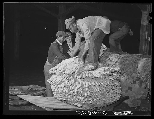 Unloading tobacco from trailer into baskets according to the grade the night before auction sale in warehouse. Durham, North Carolina