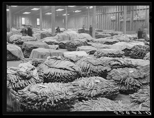 Untitled photo, possibly related to: Baskets of tobacco on warehouse floor before auction sale. Durham, North Carolina