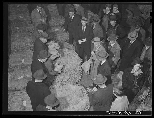 Tobacco auctioneer (in white gloves) and buyers during auction sale in warehouse in Mebane, Orange County, North Carolina