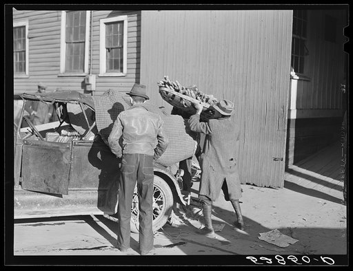 Farmer taking his tobacco from one warehouse to another for auction sale. Most of the warehouses are very rushed and quickly filled up the first of the week because most farmers think they get a better price on Monday or Tuesday. Mebane, Orange County, North Carolina