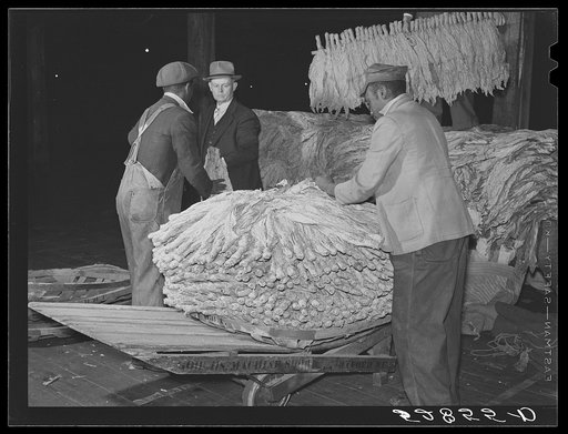 Unloading tobacco from trailer into baskets according to the grade the night before auction sale in warehouse. Durham, North Carolina