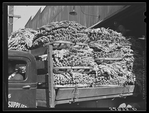 Durham, North Carolina. A truck loaded with baskets of tobacco being taken to a cigarette factory