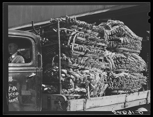 Untitled photo, possibly related to: Truckload of tobacco going to warehouse in South Boston, Halifax County, Virginia. There are eleven warehouses in this small town