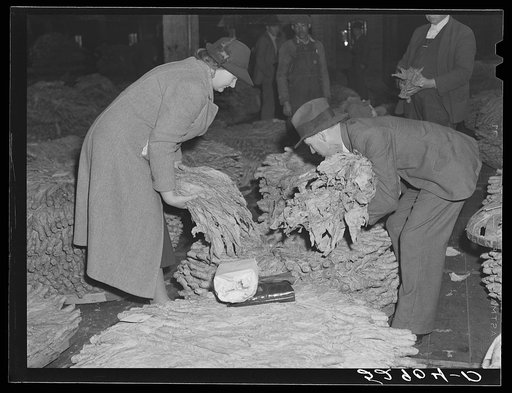 Mr. and Mrs. Elvin Wilkins fixing their baskets of tobacco before auction sale in warehouse. Durham, North Carolina