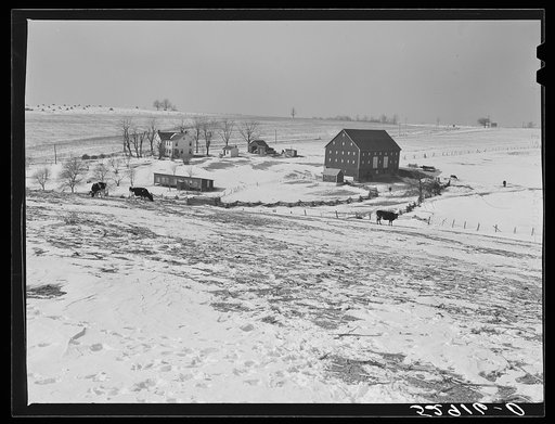 Farm near Frederick, Maryland
