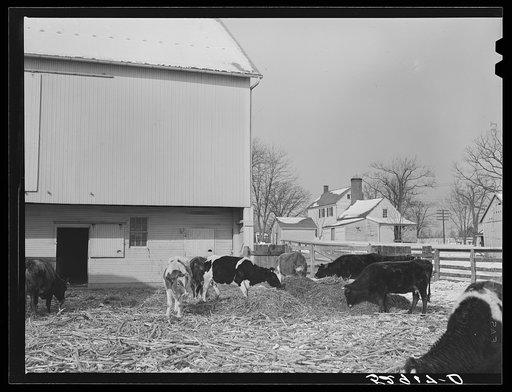 Farm near Frederick, Maryland