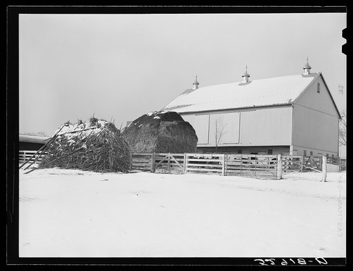 Farm near Frederick, Maryland