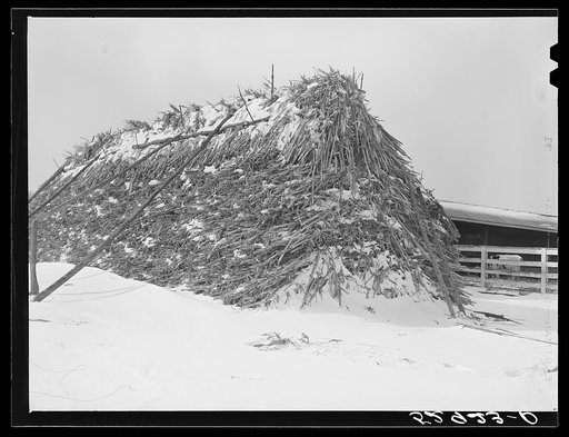 Stack of winter feed near Frederick, Maryland