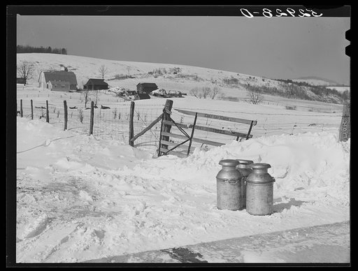 Farmer's milk cans on highway waiting to be picked up by trucks near Frederick, Maryland