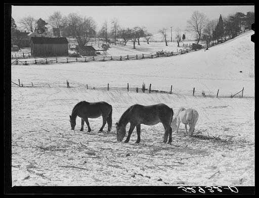 Farm near Warrenton, Virginia
