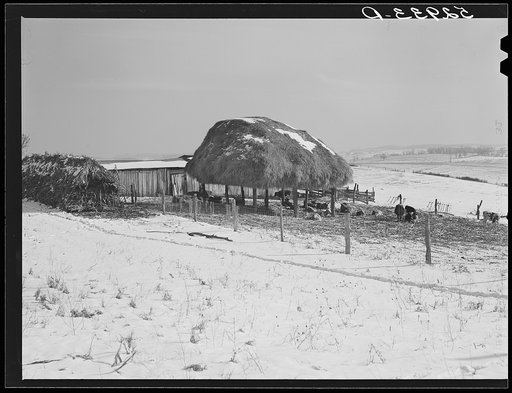 Untitled photo, possibly related to: Farm near Warrenton, Virginia
