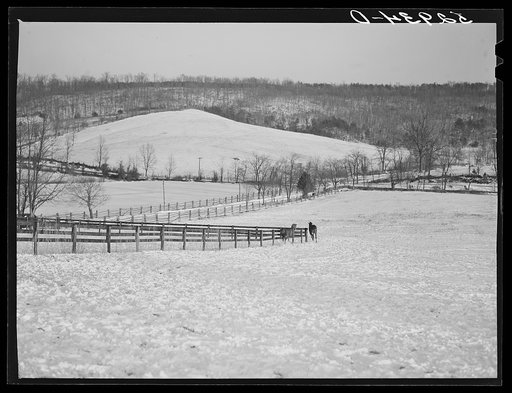 Farm near Warrenton, Virginia