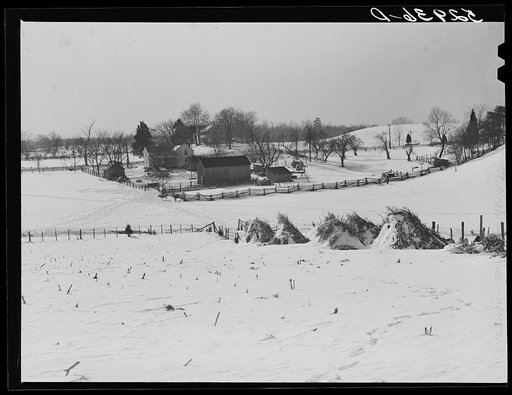 Untitled photo, possibly related to: Farm near Warrenton, Virginia