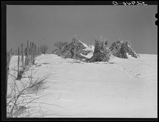 Untitled photo, possibly related to: Farm near Warrenton, Virginia