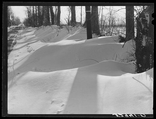 Untitled photo, possibly related to: Farm near Warrenton, Virginia