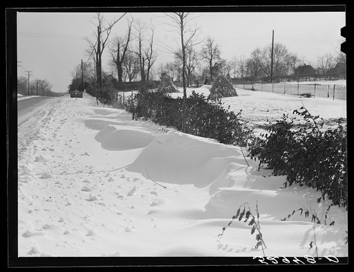 Untitled photo, possibly related to: Farm near Warrenton, Virginia