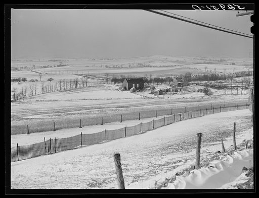 Untitled photo, possibly related to: Farm near Warrenton, Virginia