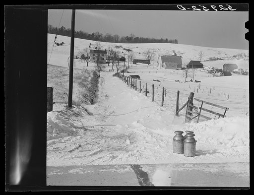 Untitled photo, possibly related to: Farm near Warrenton, Virginia