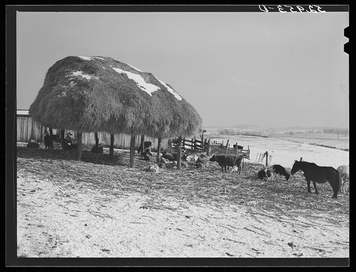 Farm near Frederick, Maryland