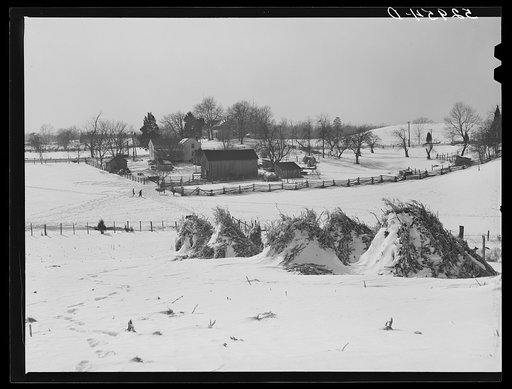Farm near Warrenton, Virginia