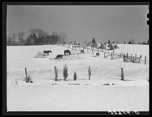 Farm near Warrenton, Virginia