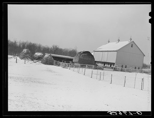 Untitled photo, possibly related to: Farm near Frederick, Maryland