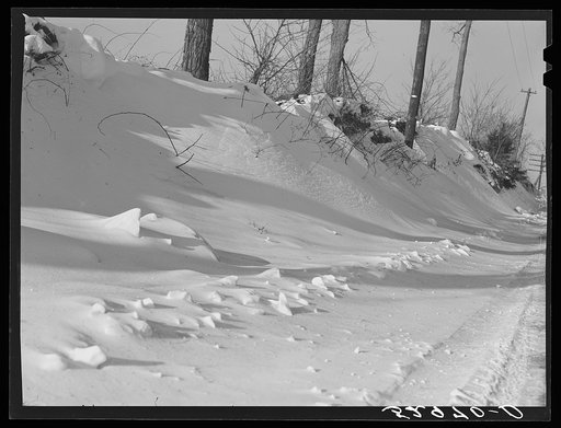 Untitled photo, possibly related to: Farm near Frederick, Maryland