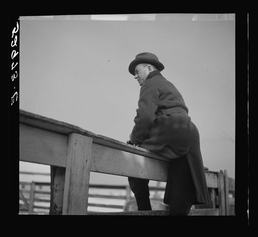 Untitled photo, possibly related to: Horse and shelter on farm, Montgomery County, Maryland