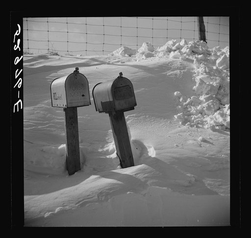 Untitled photo, possibly related to: Horse and shelter on farm, Montgomery County, Maryland