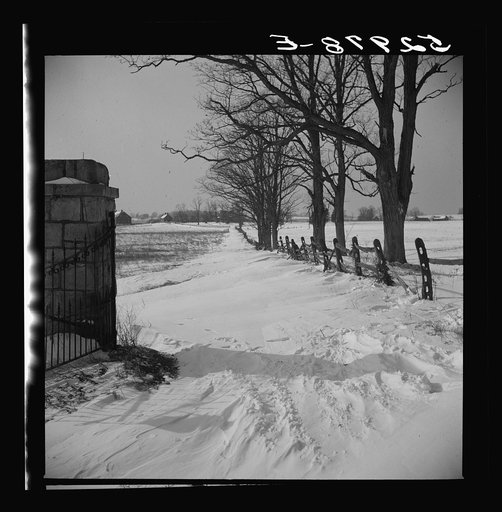 Untitled photo, possibly related to: Horse and shelter on farm, Montgomery County, Maryland
