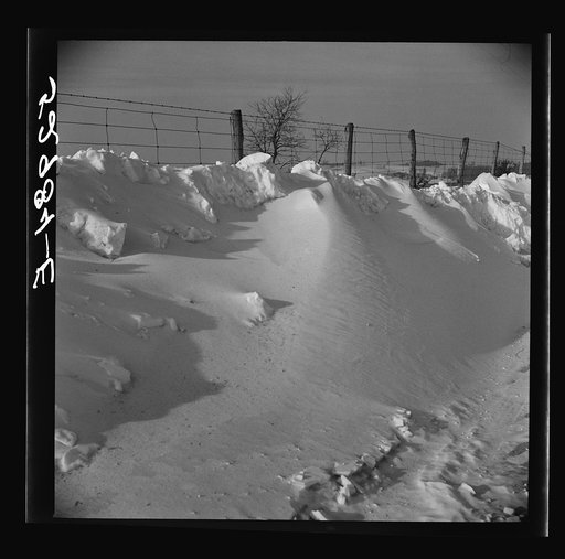 Untitled photo, possibly related to: Farm near Frederick, Maryland
