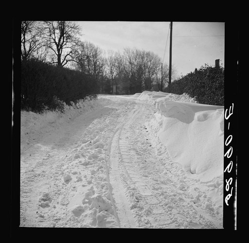Untitled photo, possibly related to: Farm near Frederick, Maryland