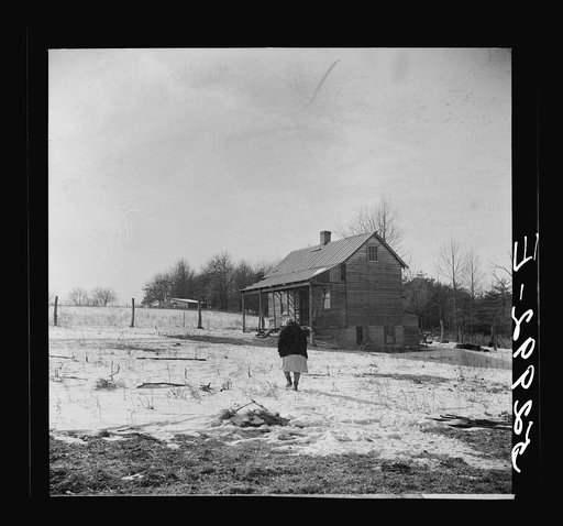 Farmer's wife going to her home from barn where they were killing hogs. Near Frederick, Maryland
