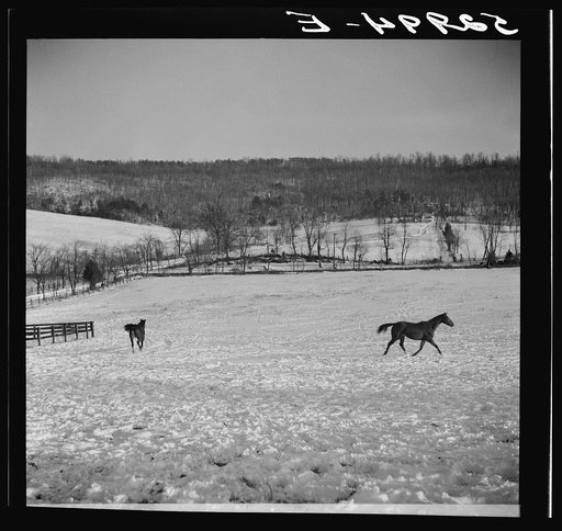 Farm near Warrenton, Virginia
