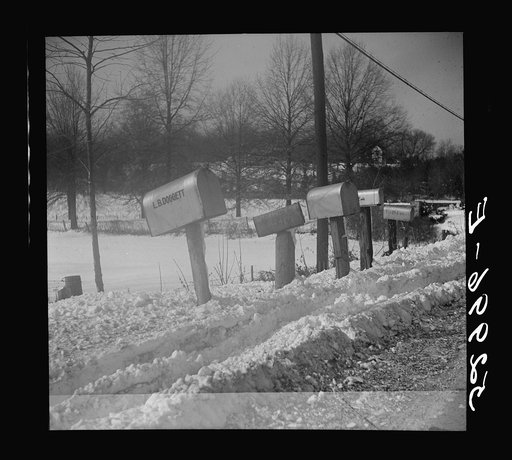 Untitled photo, possibly related to: Farm near Warrenton, Virginia